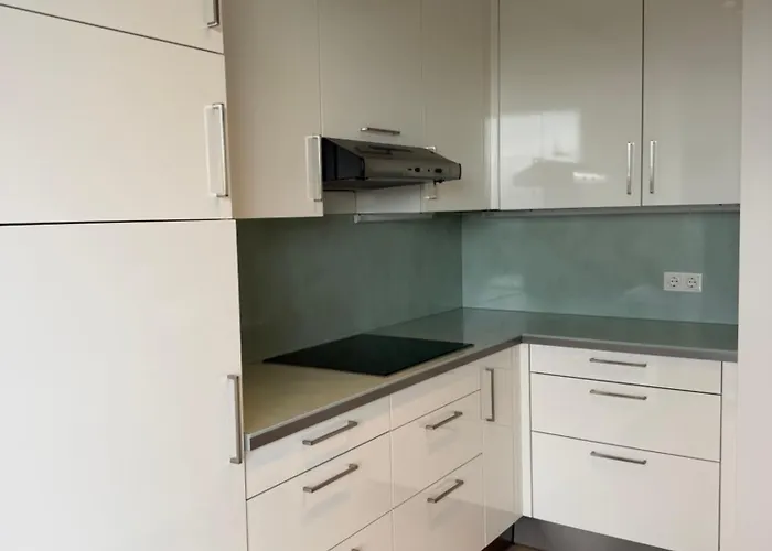 Lux Penthouse With Pool شقة فيينا